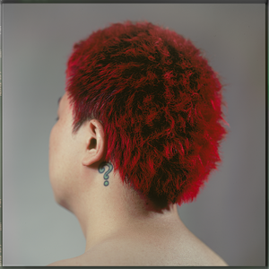 欧美人妻一区黄A片
