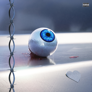 欧美人妻一区黄A片
