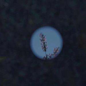 欧美人妻一区黄A片
